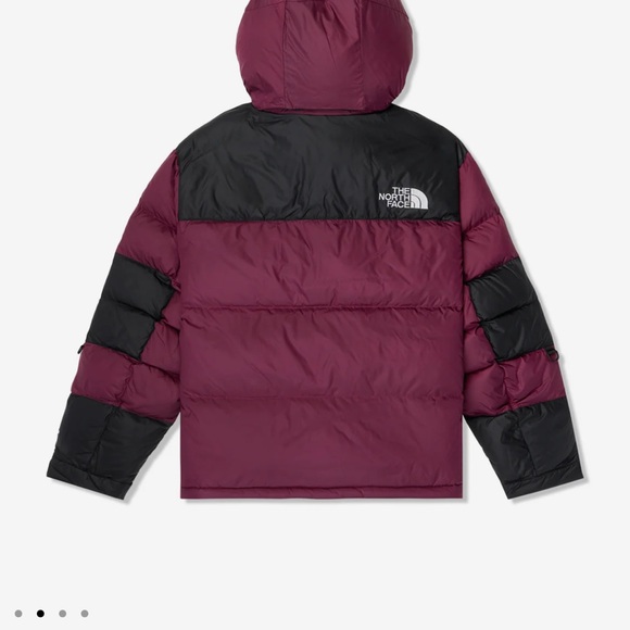 North face jacket brand new - Picture 3 of 4